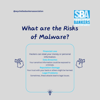 8 - The Risks of Malware